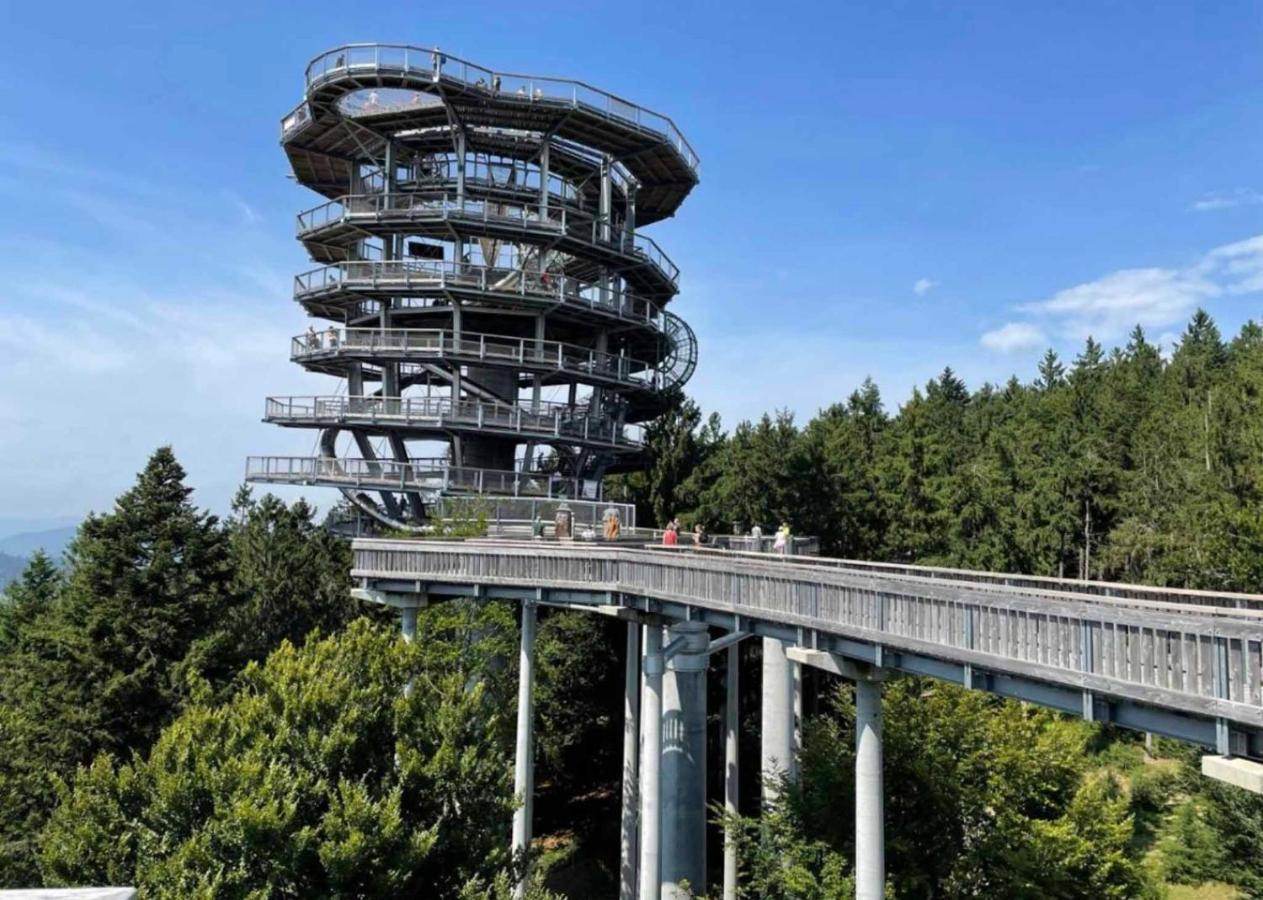 Bergerlebnis Natur pur Apartment Sankt Englmar Bagian luar foto