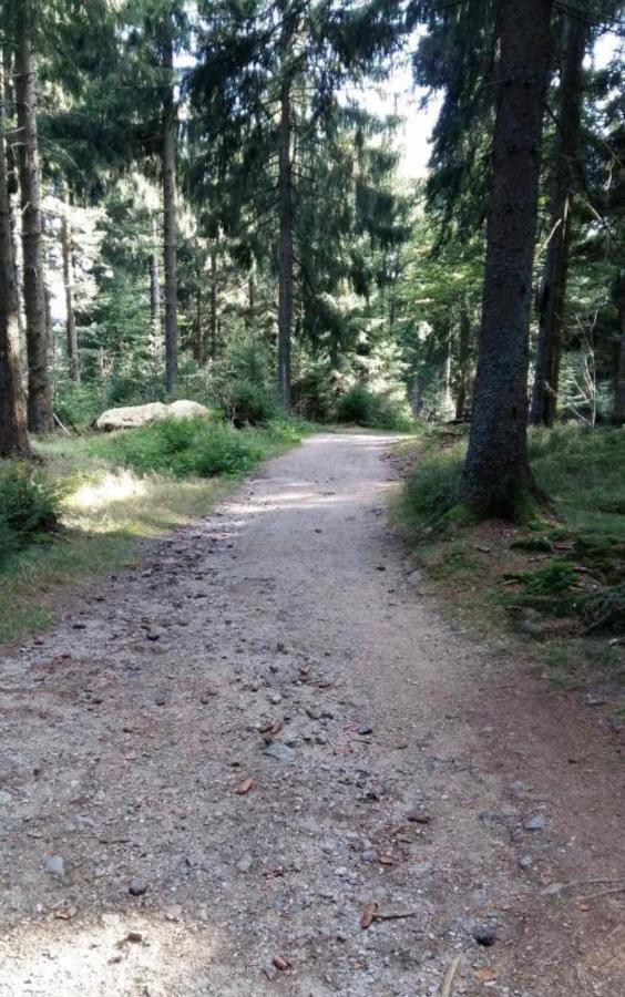 Bergerlebnis Natur pur Apartment Sankt Englmar Bagian luar foto